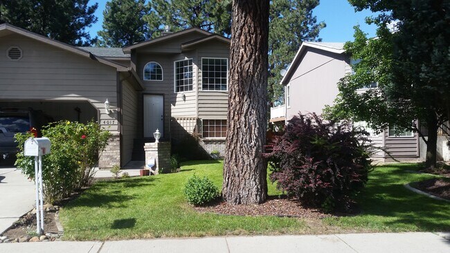 Foto del edificio - Beautiful South Hill Home!