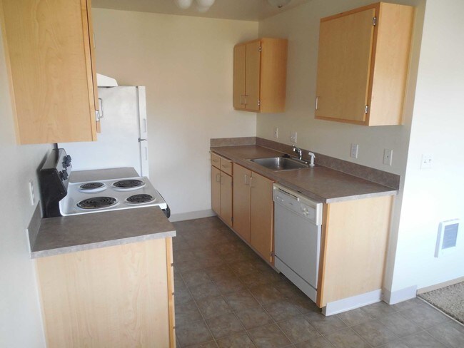 1HAB, 1BA 675 ft² - Conifer Place