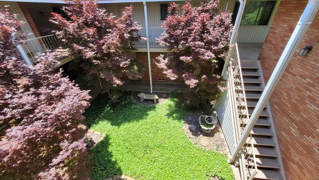 courtyard - 4522 Abbott Ave
