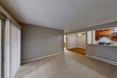 Located at 155 Stony Point Rd in Santa Rosa, CA, this one-bedroom, one-bathroom unit offers a practical and comfortable single-floor layout. The open-concept living, dining, and kitchen area forms the heart of the home, with plush wall-to-wall carpeting in the living and dining zones and warm hardwood flooring in the kitchen and dining transition area. A ceiling fan overhead and a sliding glass door leading to an outdoor balcony fill the living space with natural light and provide pleasant outdoor views of surrounding trees. The galley-style kitchen is well-equipped, featuring rich cherry wood cabinetry with glass-panel accents, granite countertops, a stainless steel sink, and matching appliances including an electric range and refrigerator. The bedroom offers a cozy carpeted retreat with a window for natural light and baseboard heating, and opens conveniently to the main living area. Two dedicated closets provide generous storage throughout the unit. The full bathroom includes a clean, white tub-shower combination with chrome fixtures. Textured ceilings throughout and neutral gray tones on the walls lend a cohesive, understated aesthetic across the entire space.