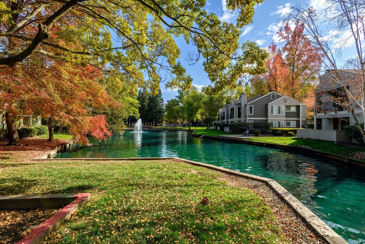 Primary Photo - Harbor Oaks Apartments