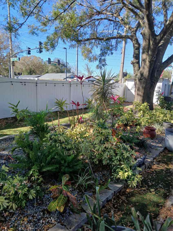 Photo - 4143 Lake Lawne Ave (Orlando, FL)