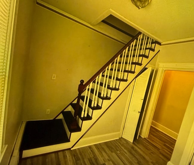 Photo - 7 Morton St Apartment