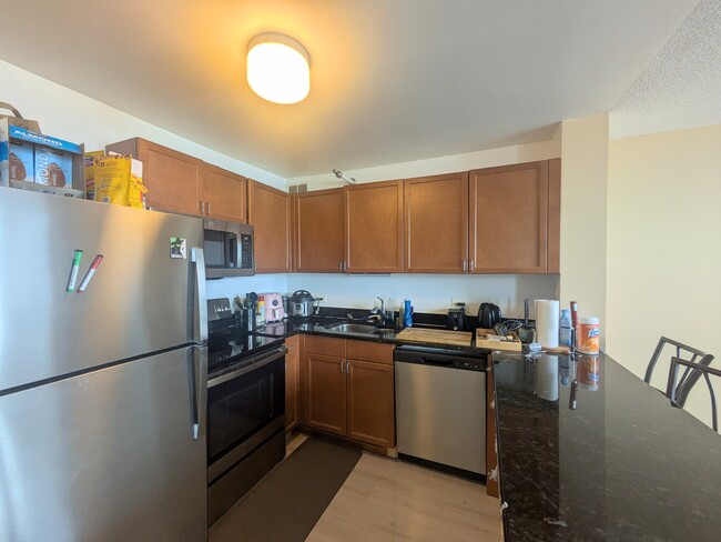 Building Photo - 474 N Lake Shore Dr