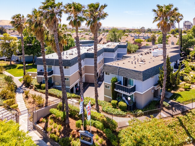 Building Photo - Marina Heights