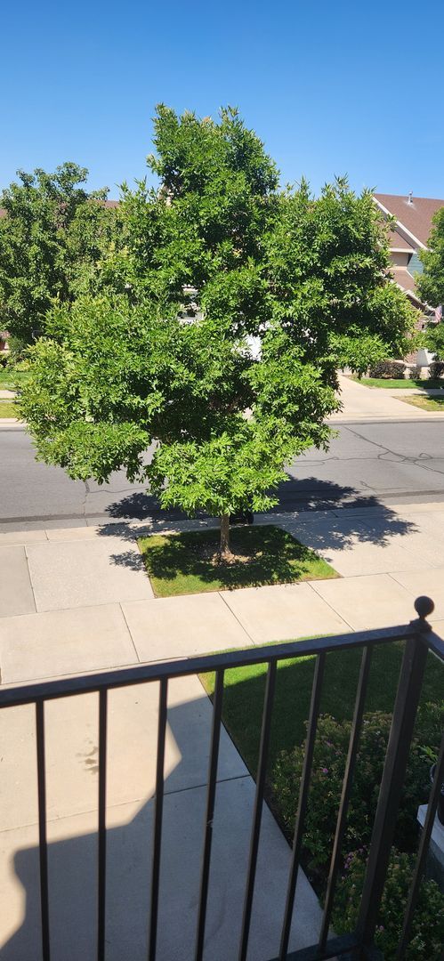 Foto del edificio - Luxury 3 Bedroom Plus Den in Sandy!