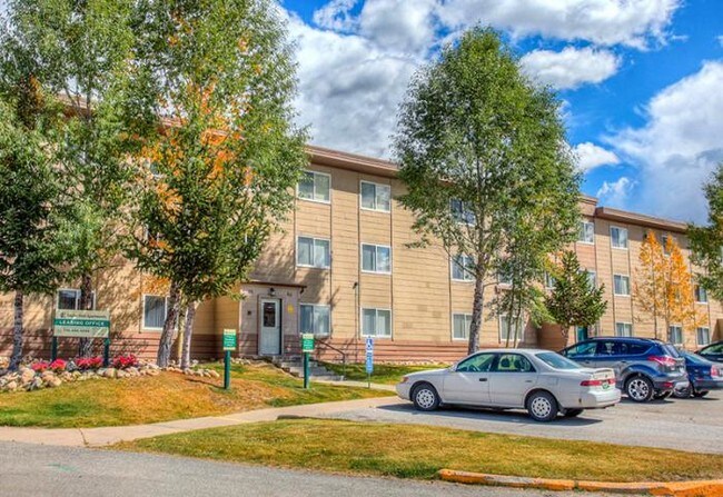 Foto del edificio - 3 bedroom in Leadville CO 80461