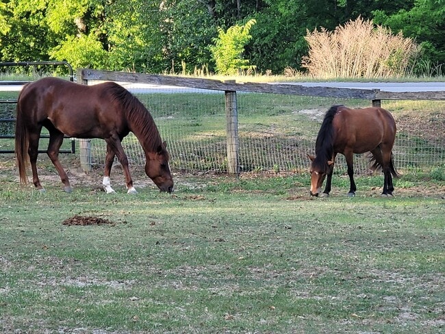 Foto del edificio - 331 Glenwood Dr