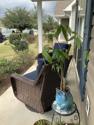 Building Photo - 186 Cornelia St