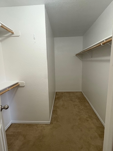 Building Photo - 307 Aries Dr