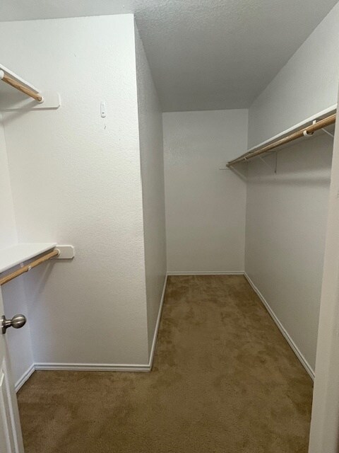 Foto del edificio - 307 Aries Dr