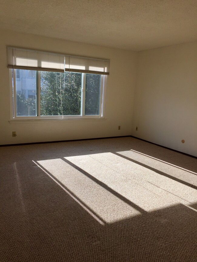 Living room - 247 20th Ave
