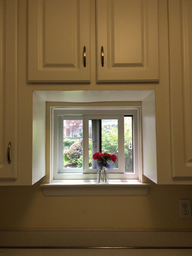 14 Olcott Way, Ridgefield, CT 06877 Apartments in Ridgefield, CT