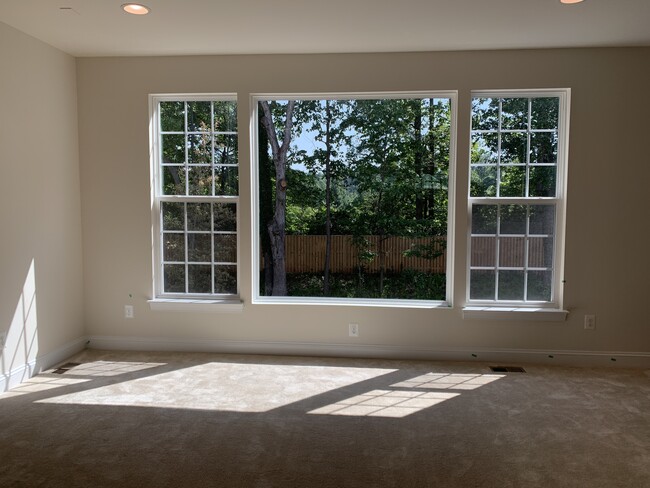 living room, large window, private backyard - 8106 Skystone Loop
