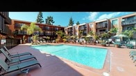 This multi-story residential complex is designed around a vibrant, resort-inspired courtyard that serves as the centerpiece of the property. The expansive outdoor pool area is a standout feature, offering crystal-clear water framed by a generously sized terracotta-toned deck. Rows of lounge chairs and shaded umbrella tables are thoughtfully arranged poolside, creating an inviting space for relaxation. The surrounding building facades are finished in warm earth-toned stucco with dark wood-trimmed balconies that overlook the courtyard, providing residents with private outdoor space and views of the lush grounds below. Mature palm trees, towering pines, and an array of drought-tolerant succulents, agaves, and tropical plantings are integrated throughout the landscape, lending a Southern California character to the environment. Raised planter beds filled with diverse foliage add depth and texture to the poolside atmosphere. Iron fencing delineates the pool area while maintaining an open, airy feel. The overall ambiance is warm, relaxed, and resort-like, with abundant natural light, mature greenery, and a cohesive architectural style that creates a welcoming outdoor retreat for residents.