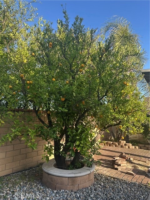Building Photo - 9545 Alta Loma Dr