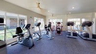 This fitness center is a comprehensively outfitted facility designed to support a wide range of workout routines. The space is organized into distinct zones, allowing for efficient use of the floor area across its single level. Durable, low-pile carpet covers the floors throughout, providing comfort and stability underfoot.

The cardio zone is well-stocked with stationary bikes, treadmills, and a stair climber, all arranged to take advantage of the large windows and glass doors that line multiple walls. These generous openings flood the space with natural light and offer views of the surrounding outdoor areas, creating an open and energizing atmosphere. Ceiling fans are mounted overhead, ensuring comfortable air circulation during workouts.

The strength training area features a multi-station cable machine, adjustable benches, and a dedicated dumbbell rack with a broad selection of free weights. Full-length mirrors line one wall, amplifying the sense of space while allowing users to monitor their form. Recessed lighting supplements the natural light in this section of the facility.

The overall ambiance is clean, functional, and inviting, with a neutral color palette of whites and grays that keeps the focus on the equipment. The layout promotes easy movement between stations, making this fitness center a practical and well-rounded amenity.