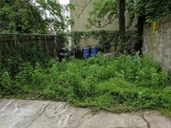 Building Photo - 4 br, 2 bath House - 864 New Lots Ave # 1FL