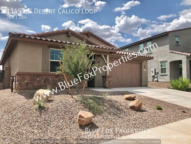 Building Photo - 11491 N Desert Calico Loop