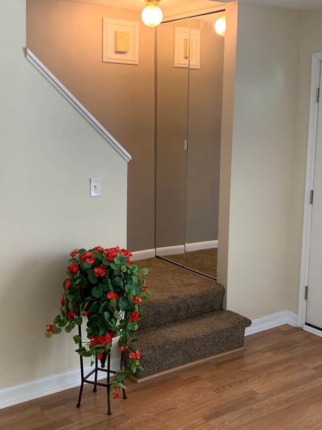 Stairs Mirrored Closet - 2823 W 13 Mile Rd