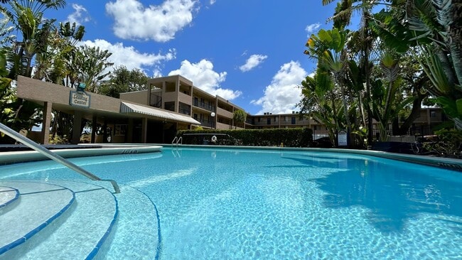 Hawaiian Palms