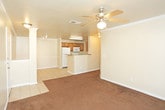 Located at 2502 Weber Dr in Lubbock, TX, this single-story home offers a straightforward, functional layout designed for comfortable everyday living. The living area features a combination of tile and dark carpet flooring, with decorative columns and crown molding adding modest architectural character. A ceiling fan with light keeps the space comfortable, and natural light filters in through windows near the entry door.

The kitchen is efficiently arranged with warm wood-toned cabinetry, granite-look countertops, and white appliances including a refrigerator, electric range, and microwave. Light tile flooring and a breakfast bar peninsula provide both workspace and casual dining potential. The kitchen connects openly to the dining and living areas, creating a cohesive common space.

Multiple bedrooms are carpeted in deep brown tones and share a consistent, neutral color palette. Each room is fitted with a ceiling fan and light fixture, along with windows dressed with blinds that allow natural light and views of the surrounding neighborhood.

The bathroom includes a full tub and shower combination with white tile surround, a toilet, and a vanity. Overall, the home presents a practical, move-in ready layout suited for a variety of living arrangements.