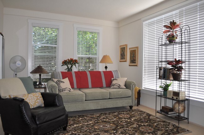 Interior Photo - 349 Massol Ave