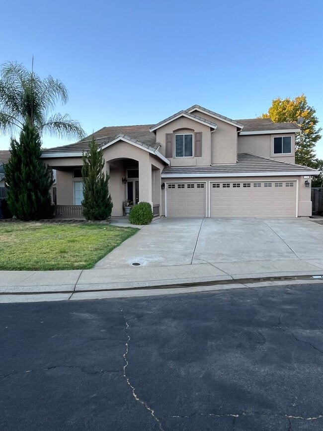 Building Photo - 124 Sky Ridge Ct