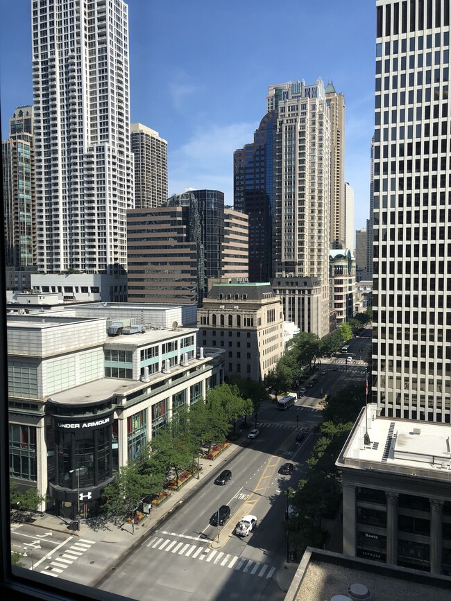 Foto del edificio - 535 N Michigan Ave