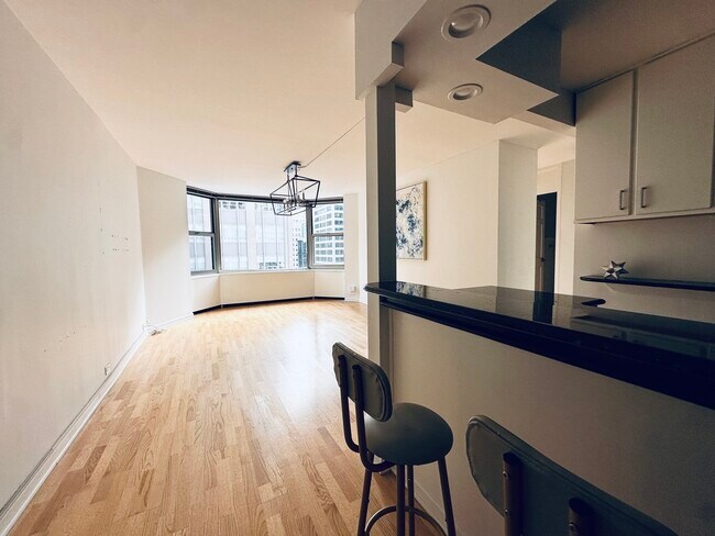 Foto del edificio - 535 N Michigan Ave