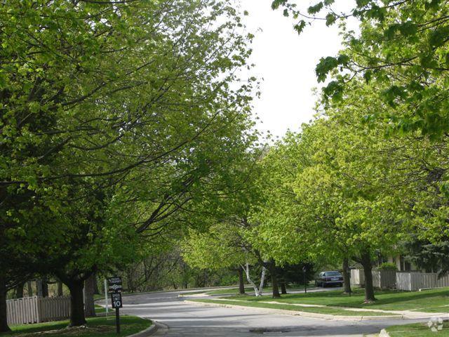 Primary Photo - Forest View Apartments