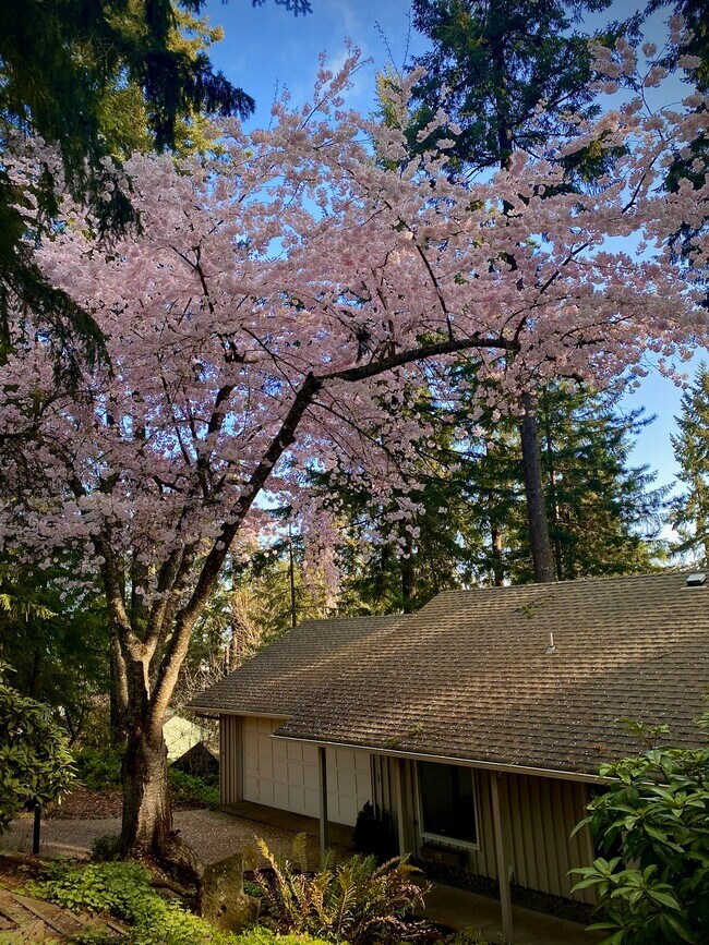 Foto del edificio - 2834 Warren St