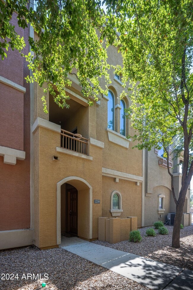 Building Photo - 240 W Juniper Ave