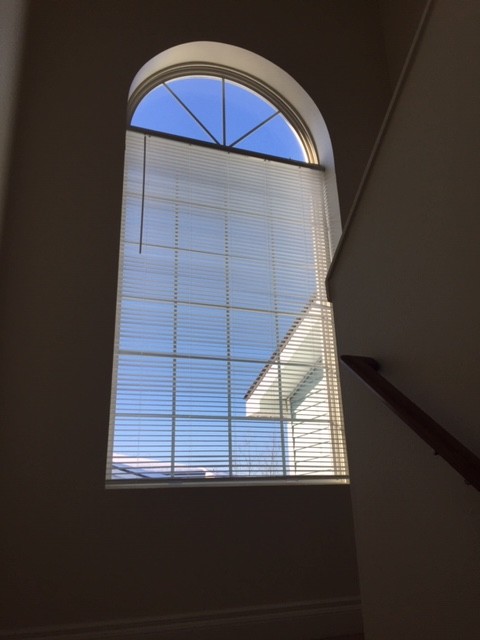 Foto del edificio - 10661 Spruce View Loop