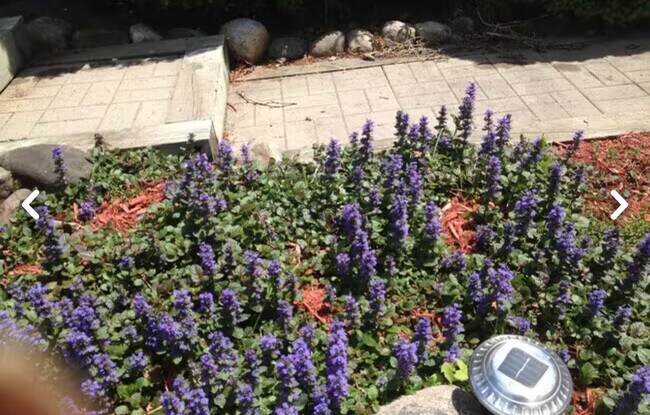 Foto del edificio - 26 Rochester St