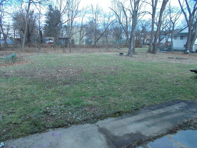back yard - 45 Youmans Ave