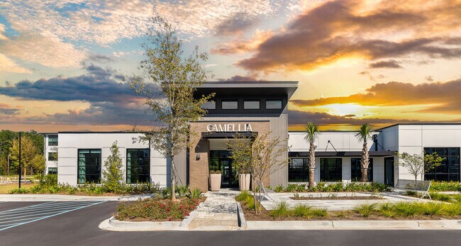 Camellia at One Nexton apartments — community photo - Camellia at One Nexton