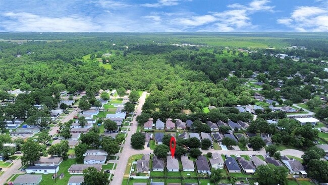 Building Photo - 24311 Hard Wood Dr