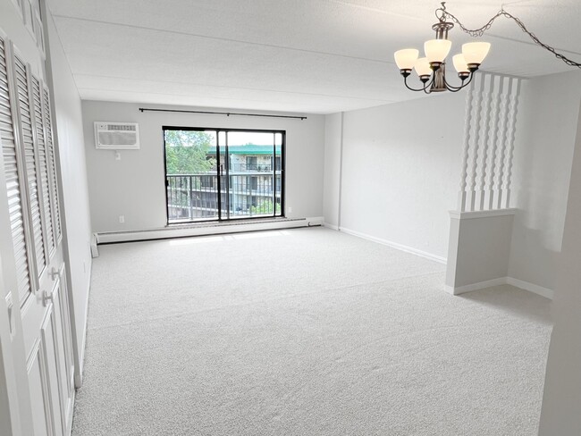 Living Room new carpet - 10411 Cedar Lake Rd