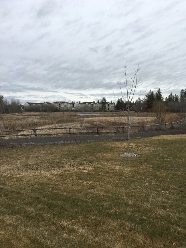 Fenced back yard - 103 Terra Vis