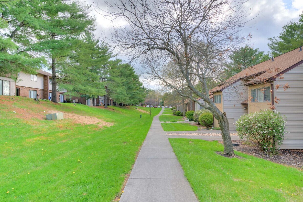 Building Photo - 349 Shenandoah Circle | 3 Bed 2.5 Bath | 0...