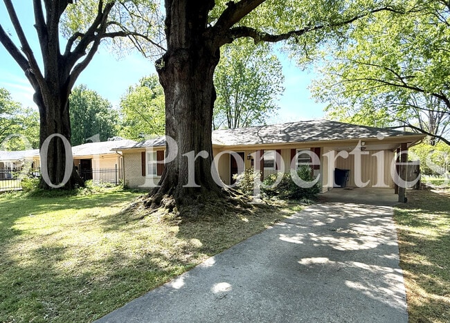 Building Photo - 1533 Cranford Rd