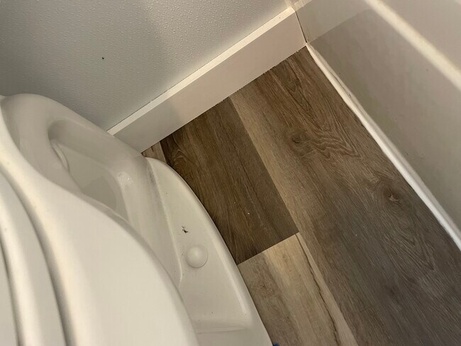 All new flooring thought. - 985 E Hope Dr