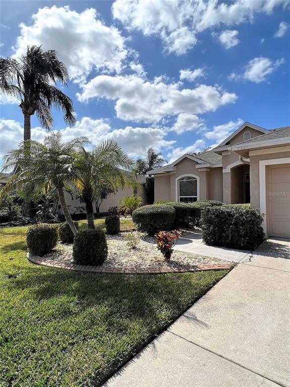 9933 Balsaridge Ct, Trinity, FL 34655 House Rental in Trinity, FL