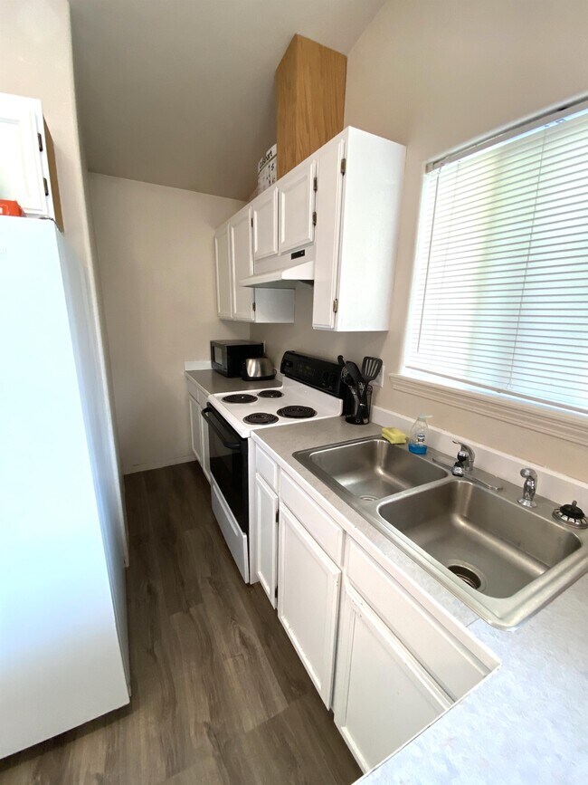 Building Photo - 1147 Tabby Ln