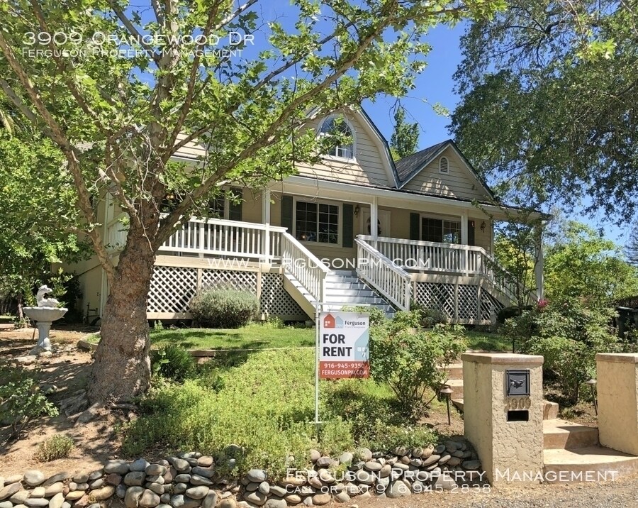 Primary Photo - 3909 Orangewood Dr