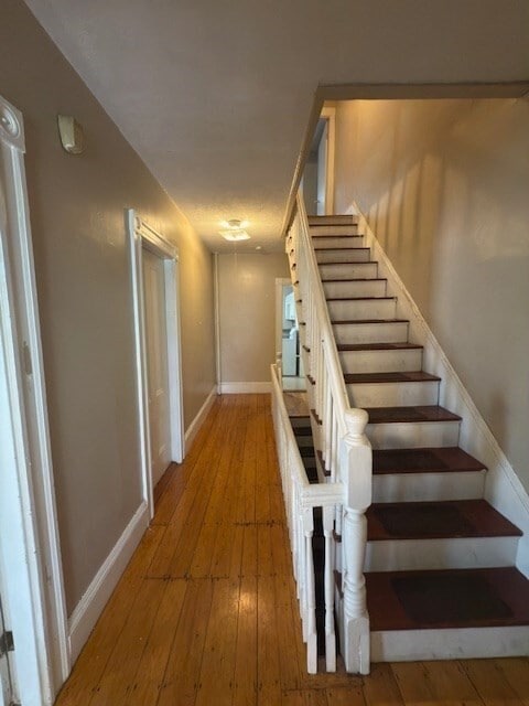 Building Photo - 137 Lynde St