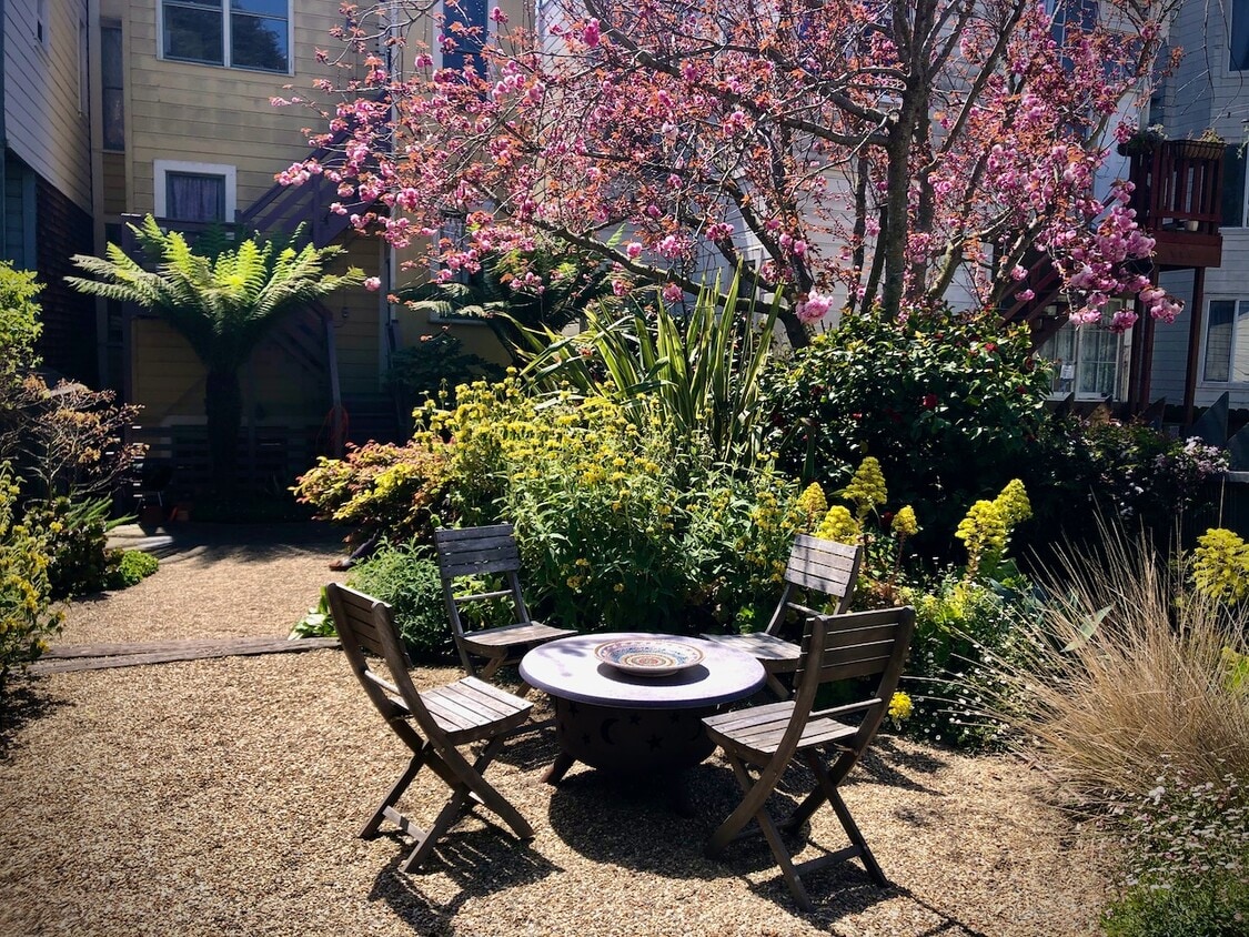 Garden seating with firepit - 1528 Fulton Street (San Francisco, CA)