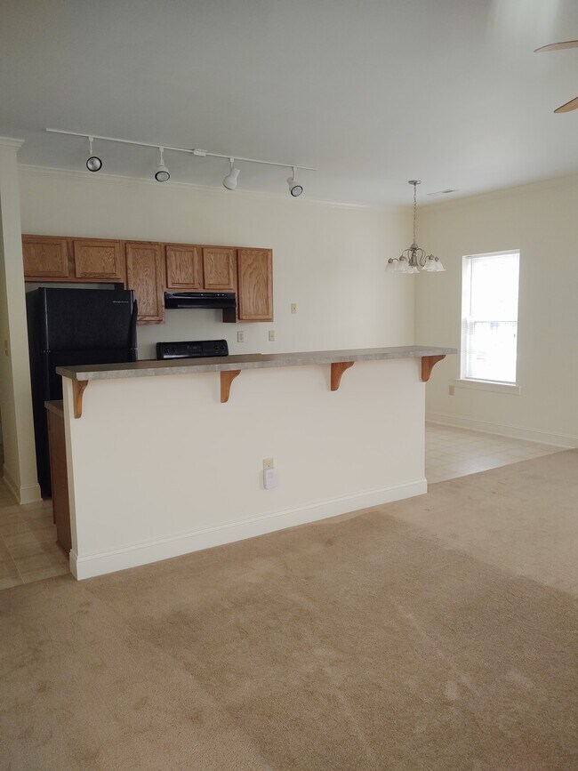 Living room/dining area - 313 E Martin St