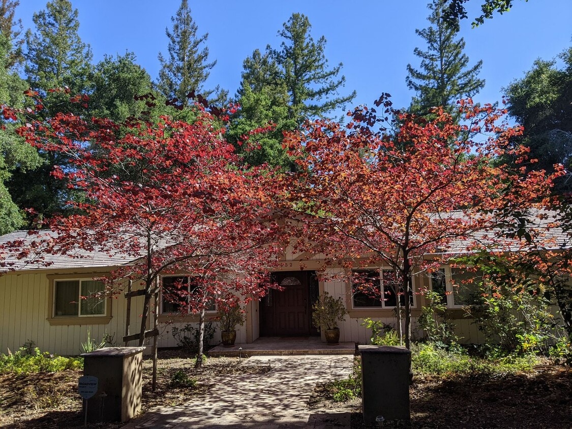 Building Photo - Saratoga Beauty!! Private, tranquil settin...